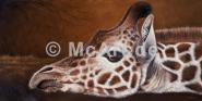Giraffe 390g/m²,Künstlerleinwand, matt mit Firnis, naturweiß