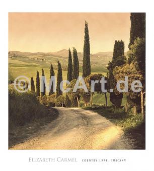 Country Lane, Tuscany 