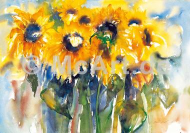 Sonnenblumen -