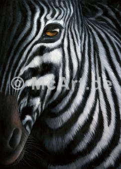 Zebra I 