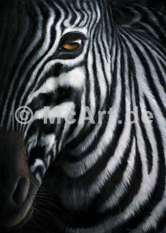 Zebra I -