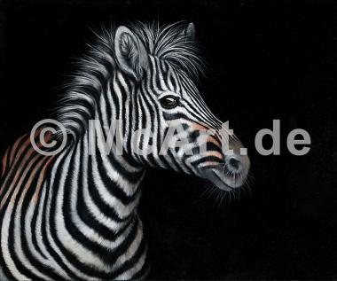Zebra II -