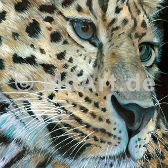 Leopard -