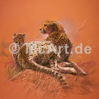 Cheetah Mother 